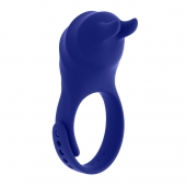 Синее эрекционное виброкольцо с клиторальной подушечкой и пультом ДУ Adjustable Fun Ring - Zero Tolerance - в Северодвинске купить с доставкой