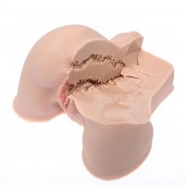 Мастурбатор-полуторс Naked Factory Kate - Naked Factory - в Северодвинске купить с доставкой