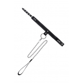 Черный узкий однослойный ошейник с серебристым поводком-цепочкой - Pecado - купить с доставкой в Северодвинске