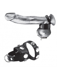 Утяжка для мошонки и пениса Cock Ring With 1  Ball Stretcher And Optional Weight Ring - BlueLine - купить с доставкой в Северодвинске