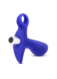 Синий стимулятор простаты с ручкой-кольцом Performance Prostimulator 02 - Blush Novelties - в Северодвинске купить с доставкой