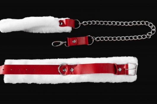 Бело-красный кожаный ошейник с поводком - Джага-Джага - купить с доставкой в Северодвинске