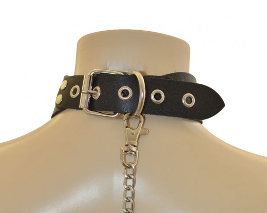 Ошейник  Веселый Роджер - Sitabella - купить с доставкой в Северодвинске