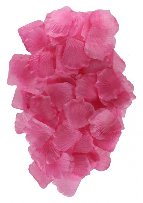 Эротический набор FANTASTIC PURPLE SEX TOY KIT - Toy Joy - купить с доставкой в Северодвинске