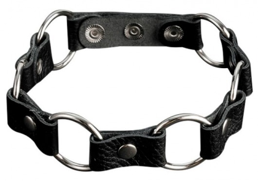Кожаный черный ошейник с кольцами - Sitabella - купить с доставкой в Северодвинске