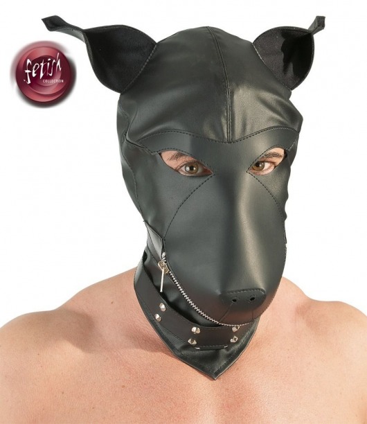 Шлем-маска Dog Mask в виде морды собаки - Orion - купить с доставкой в Северодвинске