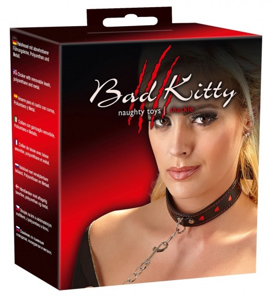 Узкий ошейник с сердечками и поводком-цепочкой - Orion - купить с доставкой в Северодвинске Узкий ошейник с сердечками и поводком-цепочкой - Orion - купить с доставкой в Северодвинске