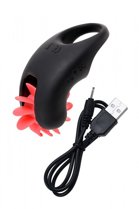 Чёрно-красное эрекционное виброкольцо Erotist - Erotist Adult Toys - в Северодвинске купить с доставкой