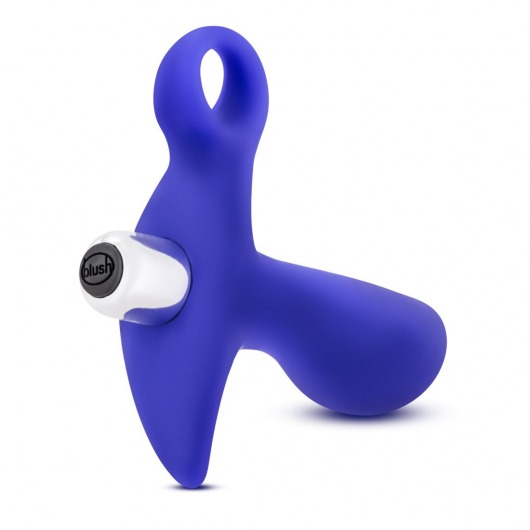 Синий стимулятор простаты с ручкой-кольцом Performance Prostimulator 02 - Blush Novelties - в Северодвинске купить с доставкой