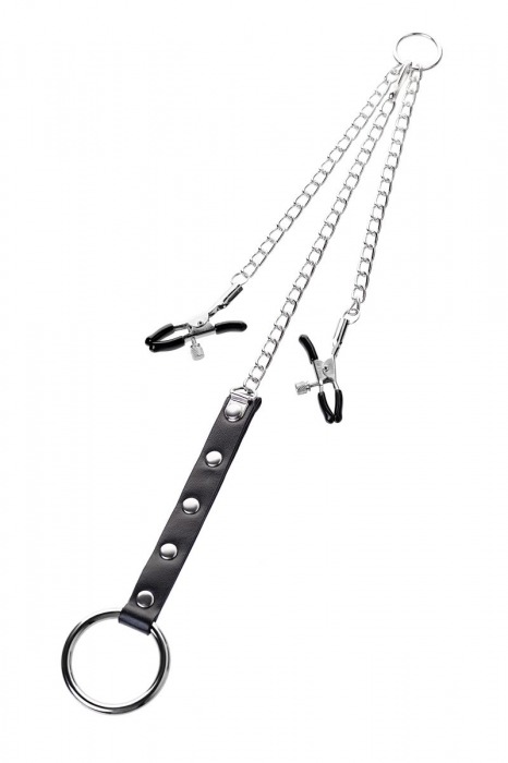 Серебристо-чёрные зажимы для сосков с кольцом для пениса TOYFA Metal - ToyFa - купить с доставкой в Северодвинске